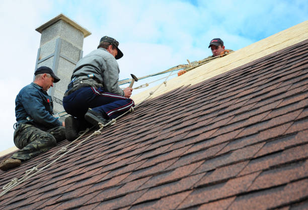 Best Roof Gutter Cleaning  in Lisbon, ME
